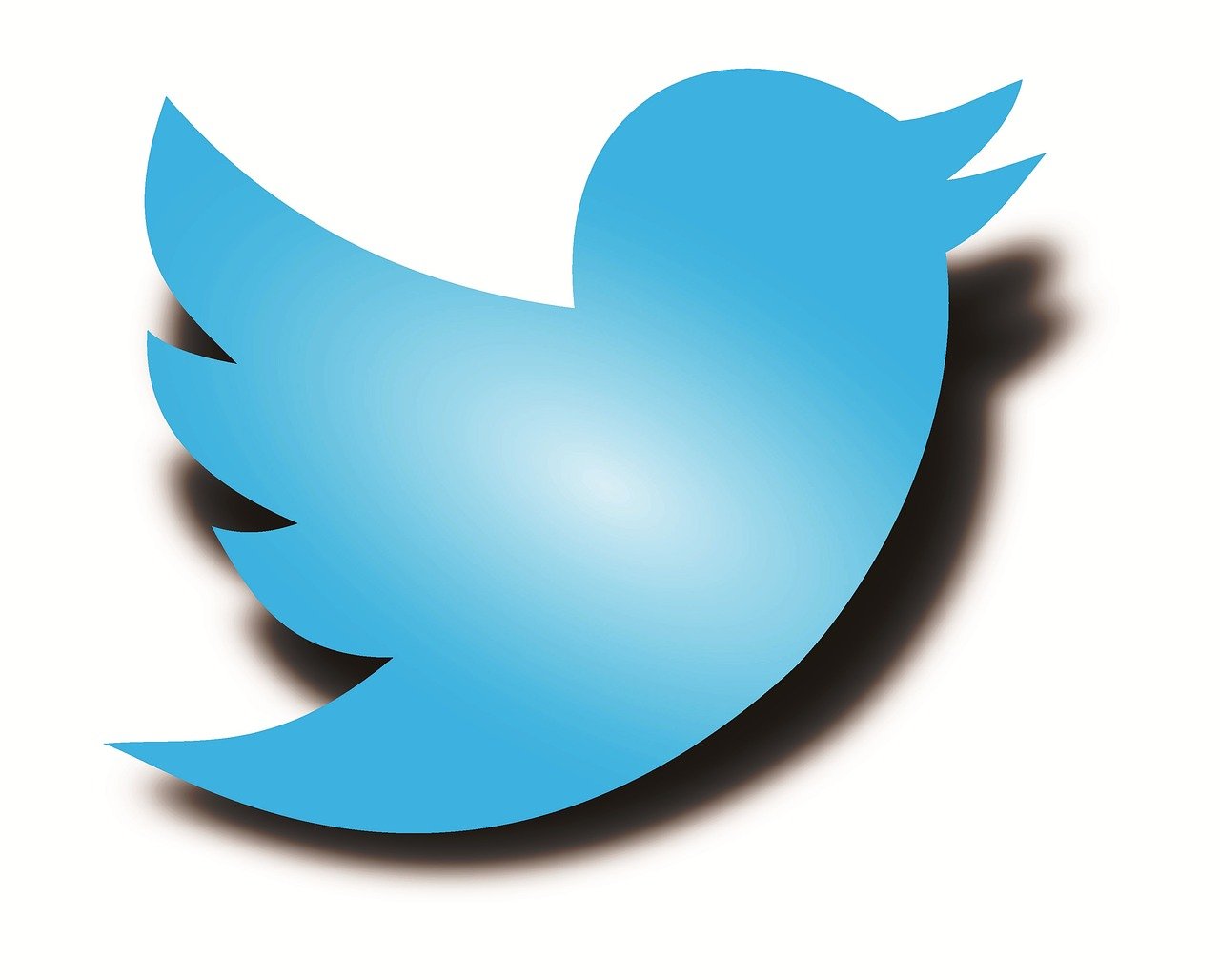twitter logo, twitter bird, twitter shadow bird-1788039.jpg